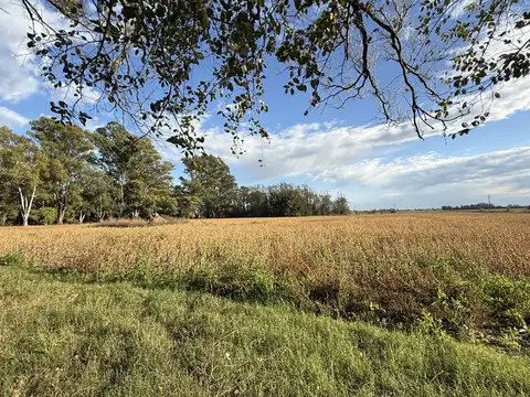 Campo en Venta de 25  ha