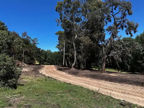 Exclusivo loteo en venta en Chapadmalal