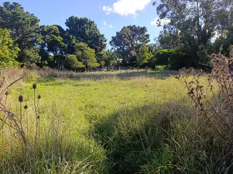 VENTA LOTE SANTA CELINA 600 M2