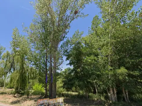 LOTE CARRIZAL SOBRE RUTA 16