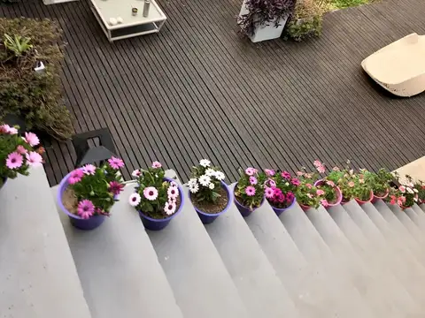 Casa 7 ambientes con 5 baños