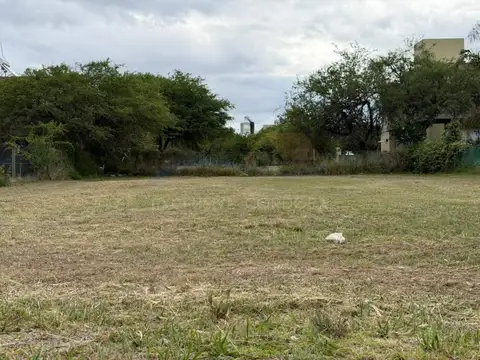 Ruta Provincial C45 100