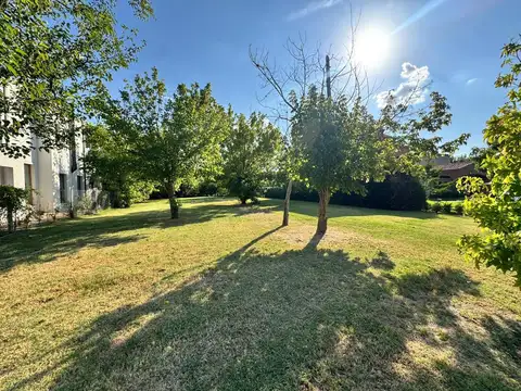 Terreno en Venta 40  mts Fondo