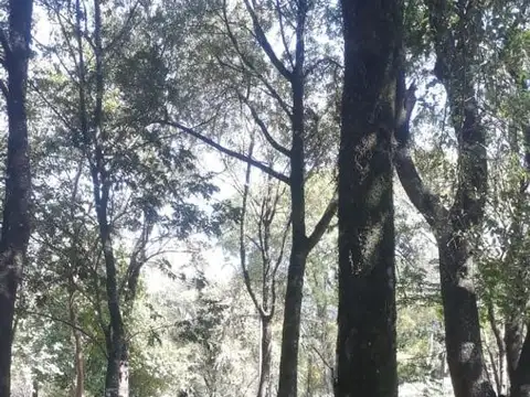 LA ARBOLEDA - TERRENOS EN VENTA