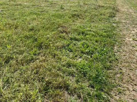Terreno en Venta en Recreo, USD 50.000