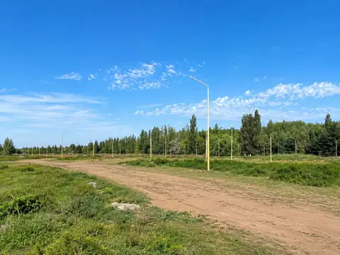PARCELA 7 MZA C