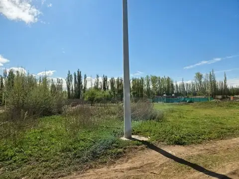 Terreno en Venta en Centenario, USD 8.800