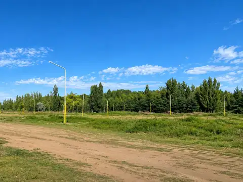 TERRENO EN VENTA Bº LOS PINOS I VISTA ALEGRE SUR