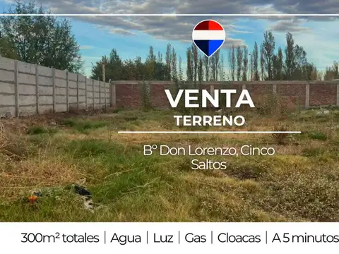 VENTA TERRENO CINCO SALTOS