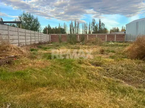 Barrio Don Lorenzo 100