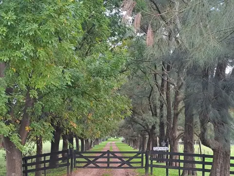 La Numancia - Loteo San Antonio de Areco
