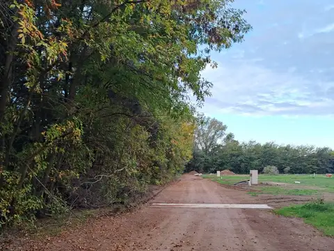 La Numancia - Loteo San Antonio de Areco