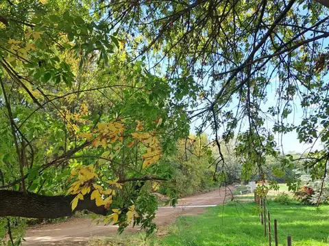 Ruta 31
