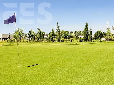 FINCAS DE SAN VICENTE - CHACRAS 1