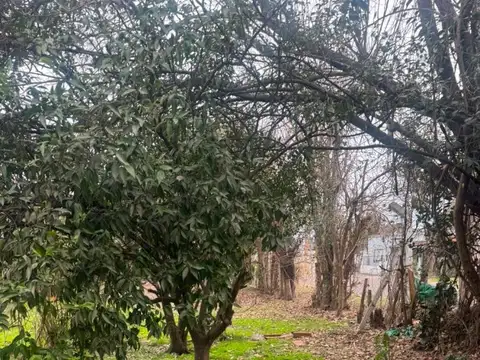Terreno en Venta de 552,0 m2