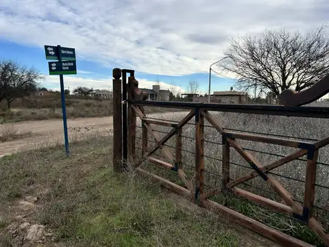 María Elena García y Sara Suárez Lote 9