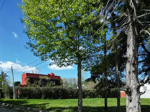 LOTE EN VENTA - 489 Y 138 J. GORINA - AMPLIA FINANCIACION -  330 M2