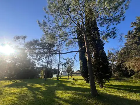 Terreno en Venta 24  mts Fondo