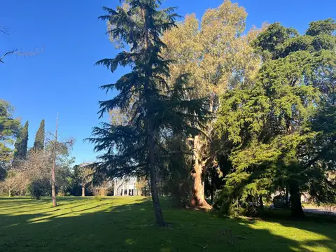 LOTE EN VENTA - 489 Y 138 J. GORINA - AMPLIA FINANCIACION -  330 M2