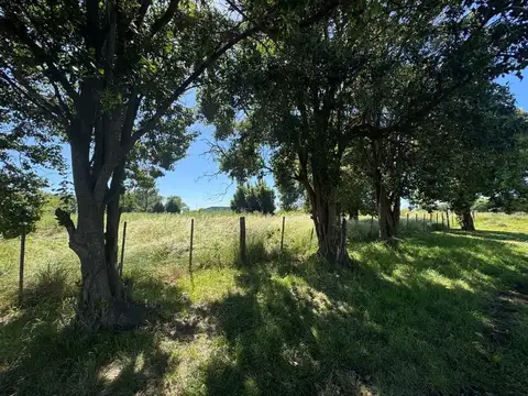 TERRENOS EN VENTA EN MANUEL OCAMPO