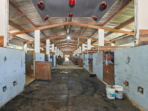 VENDE HIPICO DE 10 HECTAREAS EN FRANCISCO ALVAREZ MORENO