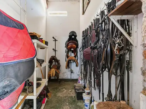 VENDE HIPICO DE 10 HECTAREAS EN FRANCISCO ALVAREZ MORENO