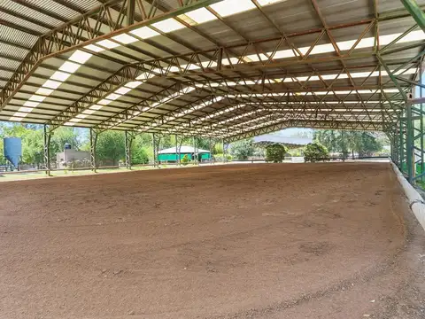 VENDE HIPICO DE 10 HECTAREAS EN FRANCISCO ALVAREZ MORENO
