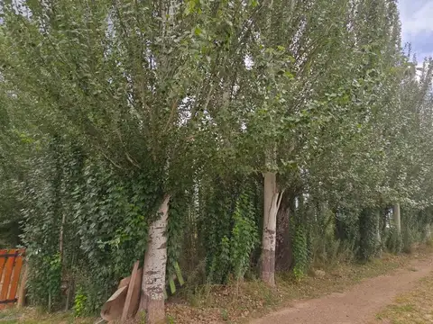 Terreno en Venta de 1741,0 m2