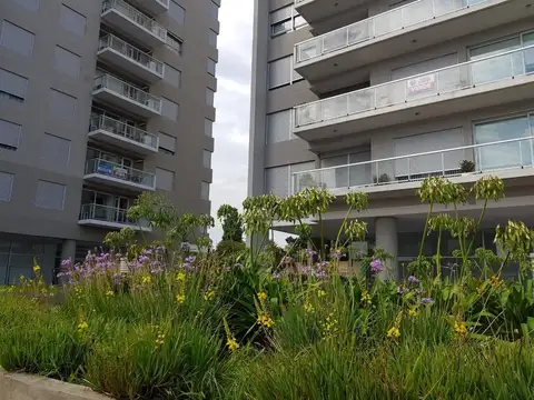 Cochera en edificio de Categoría Oportunidad 