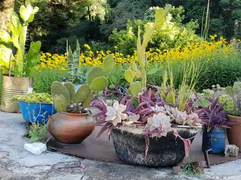 Hotel 12 unidades ( suites y dptos ) 3*