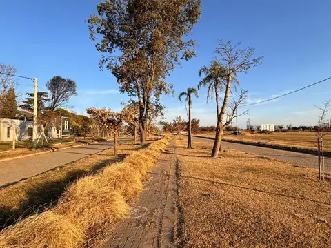 Barrio Belvedere - Escritura Inmediata