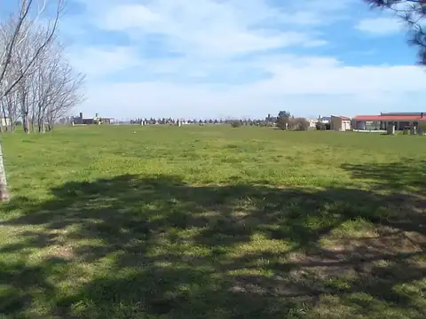 VENTA Lote 1540 m2. Chascomús