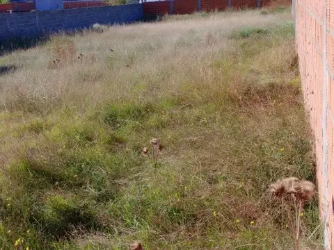 Terreno en Venta en Tres Arroyos, USD 20.000