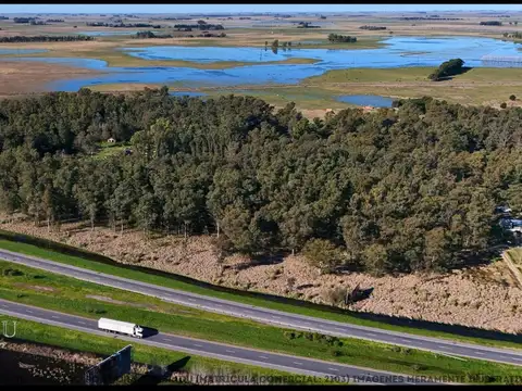 Ruta 2 100