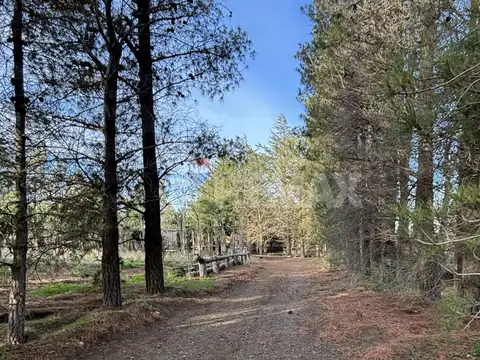 Terreno en Venta en Comodoro Rivadavia, Escalante