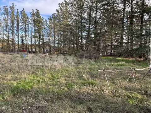 Consejal Miguel A. Mansilla 900