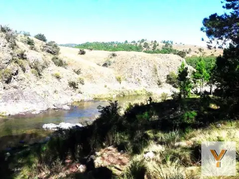 Yacanto