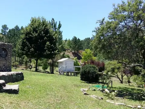 Yacanto