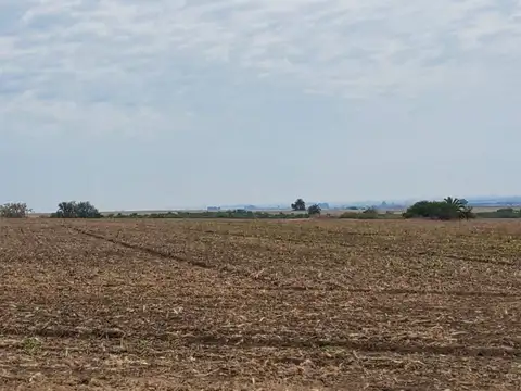 VENTA CAMPO 470HAS AGRICOLA Y CASCO EN NOGOYA