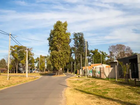 Terreno en Venta de 259,0 m2