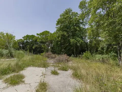 Terreno en Venta 37,50  mts Fondo