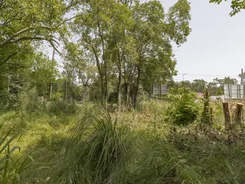CAMINO BELGRANO ESQUINA 422 , Piso 0