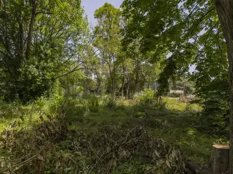 Terreno en Venta 66  mts Frente