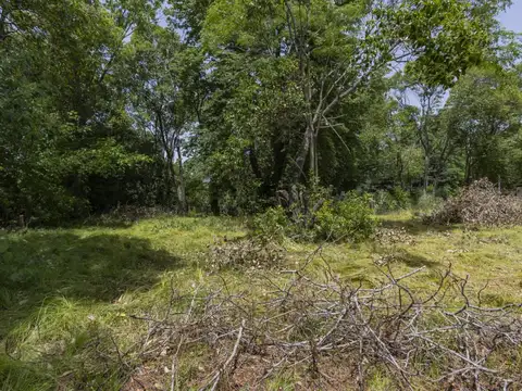 LOTE A LA VENTA EN VILLA ELISA