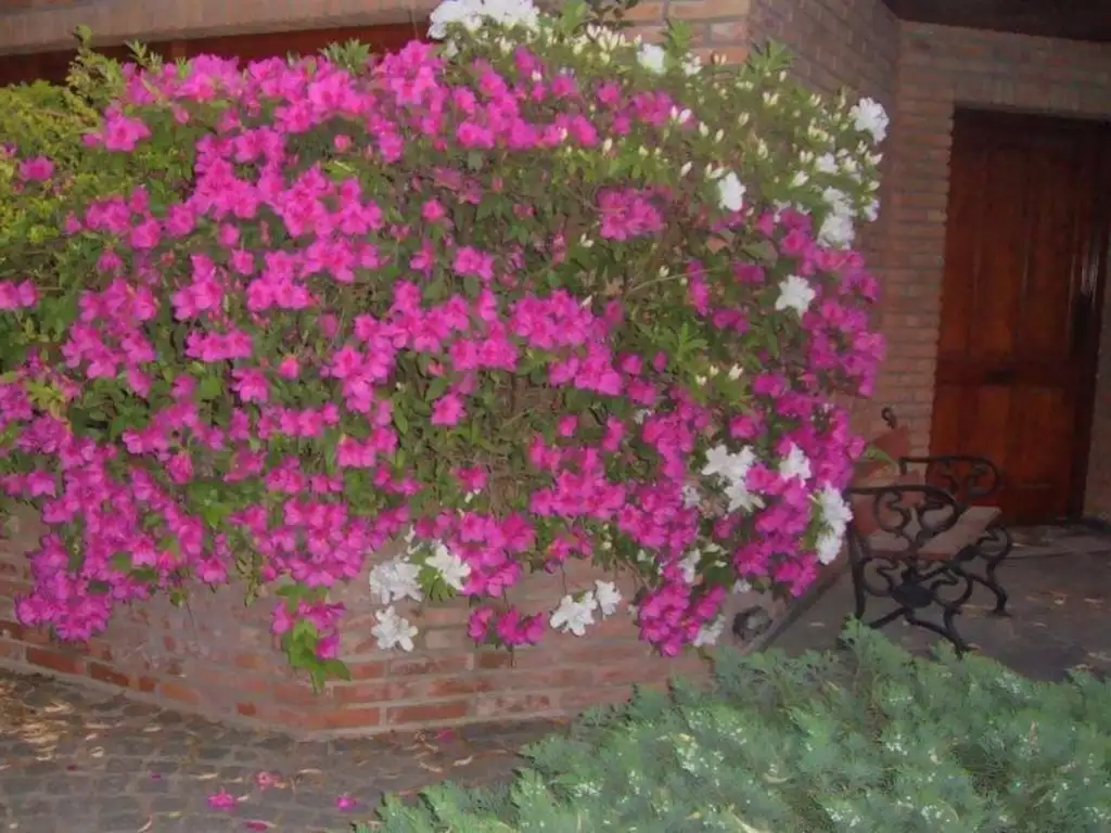 Casa en Country El Carmen - Foto 16