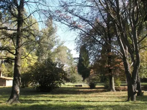 Terreno en Venta, FOS 60