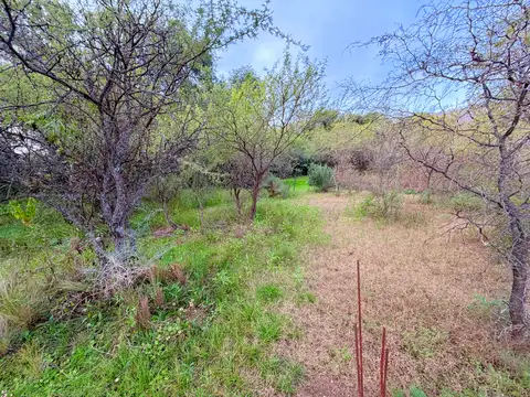 Terreno en Venta de 2500,0 m2