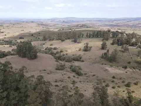 Establecimiento completo de 51ha Pueblo Edén ref 7082