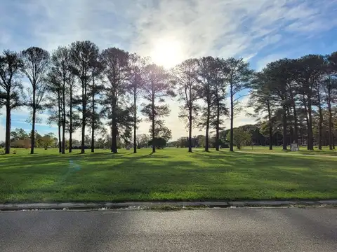 Terreno en Venta 55  mts Fondo