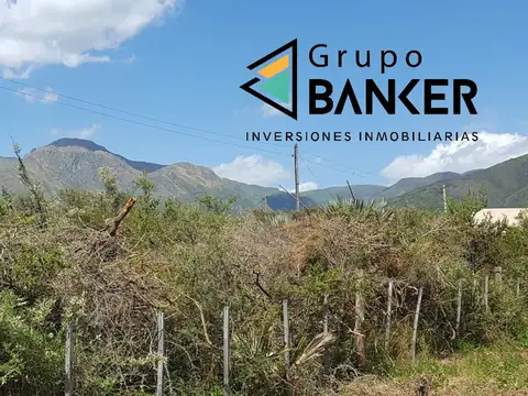 Ruben Dario 100